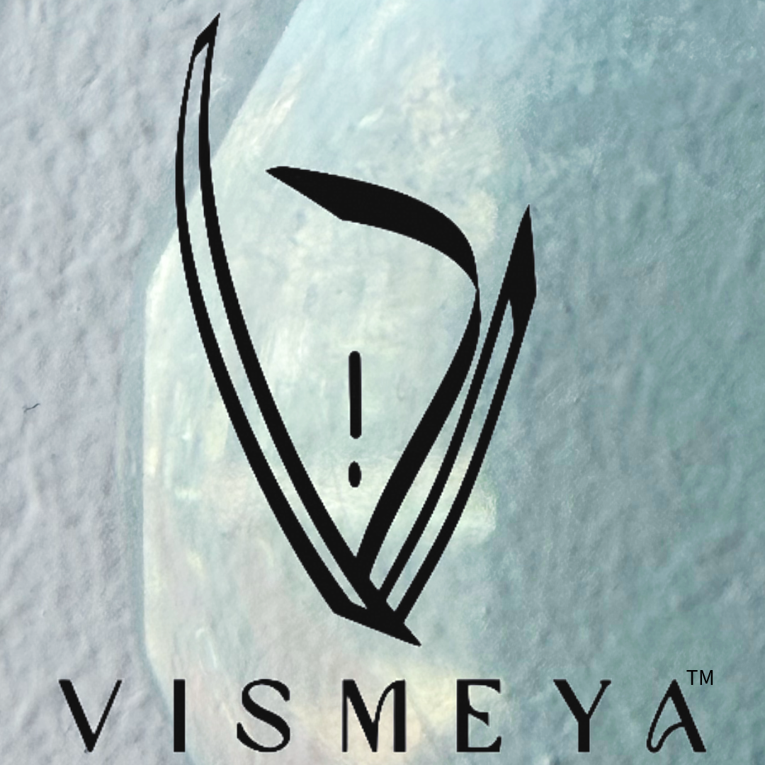 V I S M E Y A